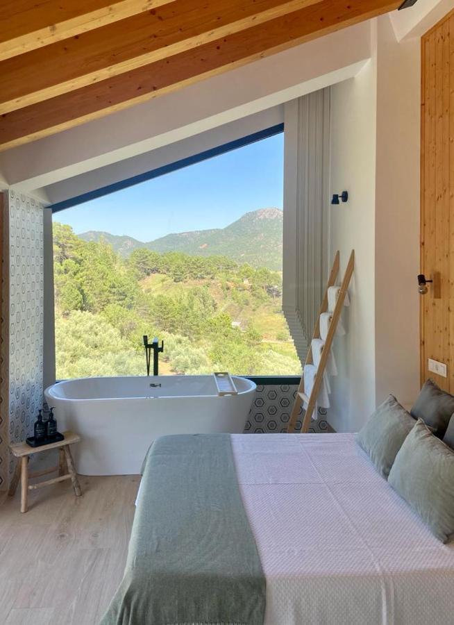 Casa Rural Piedra De La Torre Riópar Εξωτερικό φωτογραφία